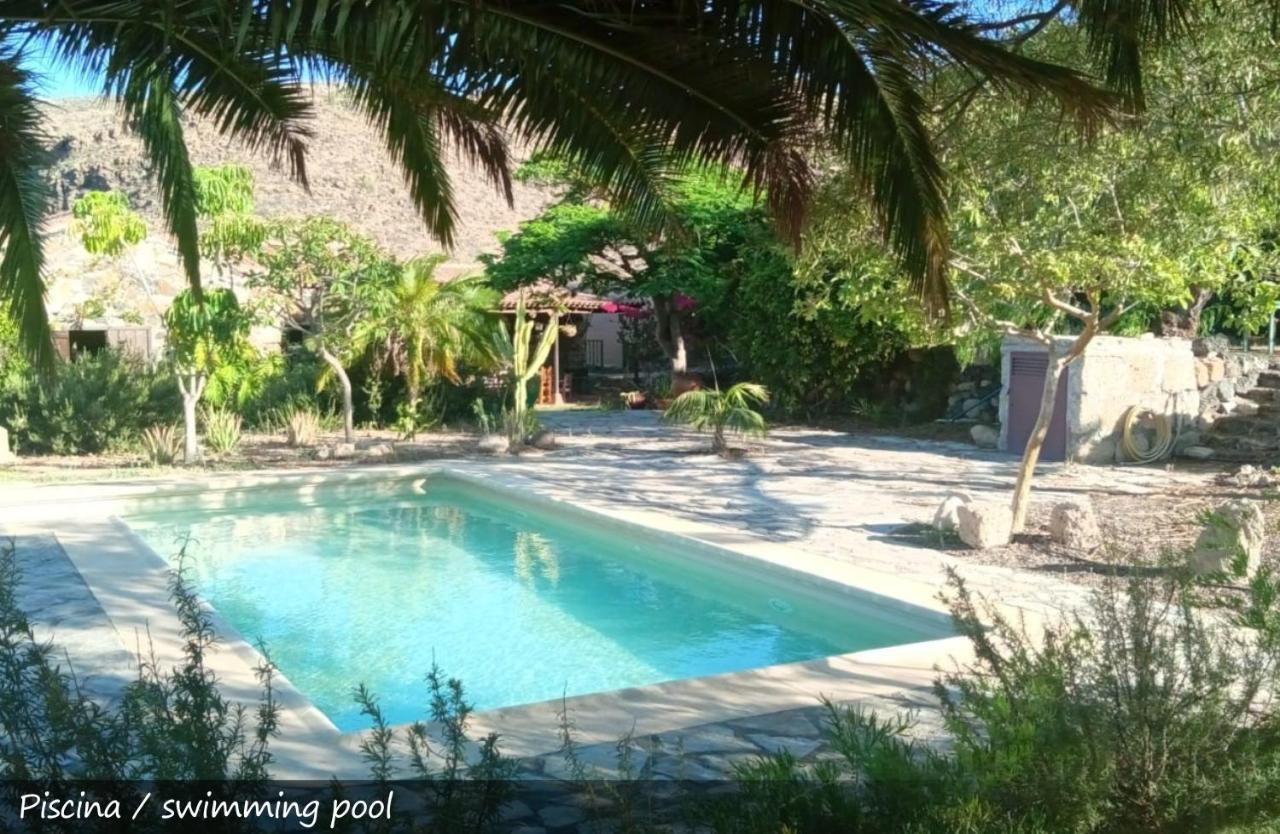 Live Finca San Miguel San Miguel de Abona Exterior photo